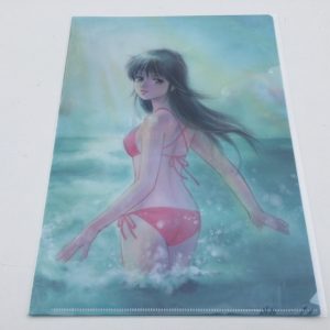 KIMAGURE ORANGE ROAD CLEAR FILE 40TH AKEMI TAKADA